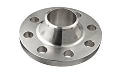 Stainless Steel 446 Weld Neck Flanges